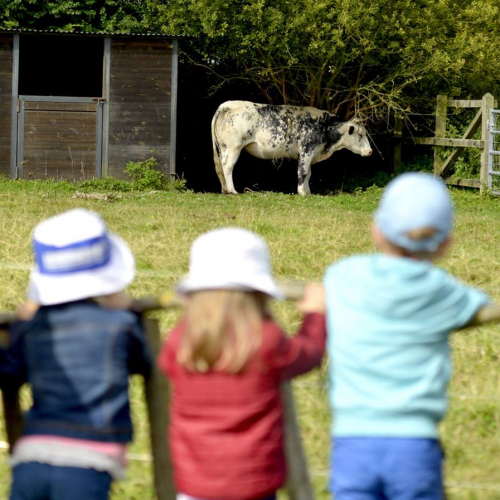 Escapades Métropolitaines 2019