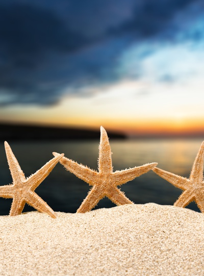 Destination famille pour le réveillon