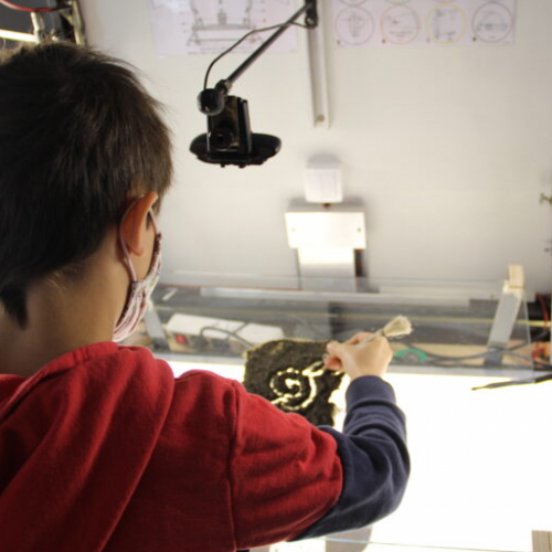 La Ménagerie : atelier enfants