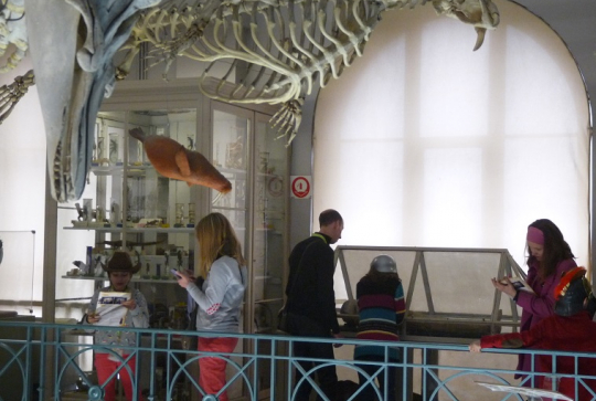 event_Nuitaumusée_Lille_janvier_2014-5