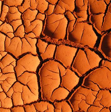 Expo - Ma terre Première