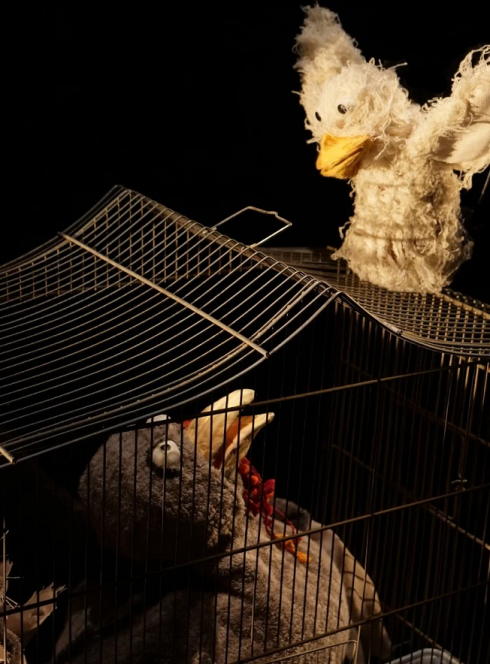 Y aura-t-il de la dinde à Noël ? - Cie Les Imaginoires