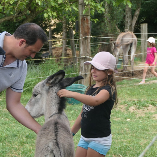 Asinerie d'Embazac : fillette caresse âne