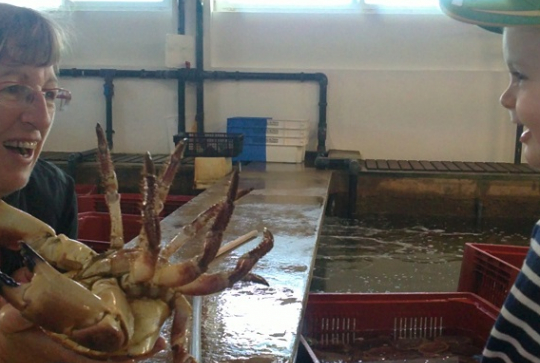 Ma grand mère et moi 31