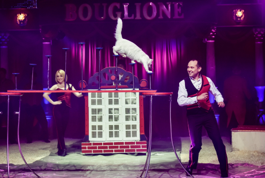 Numéro de chat au Cirque Bouglione
