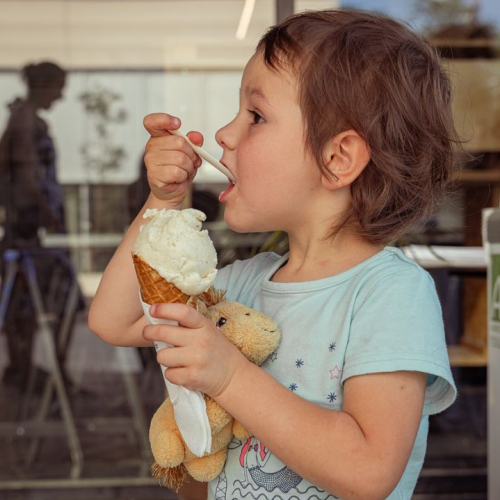 Glacier Terre Adélice