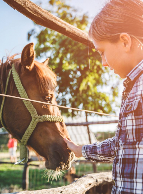 La Route des Langues