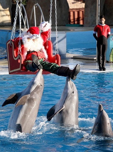 Noël à Marineland
