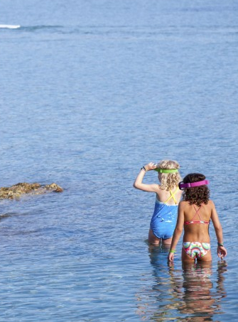 Découverte des fonds marins de Martigues