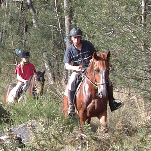 Centre équestre Trémelin