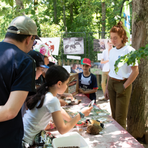 Week-end supers héros de la biodiversité au Safari de Peaugres 2024