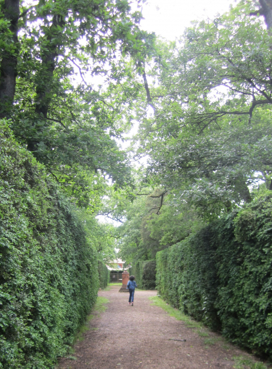 à l'intérieur du labyrinthe