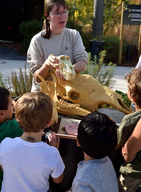 Les Rendez-vous sauvages de l'automne au Parc Zoologique de Paris en famille