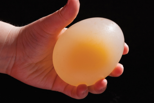 Expériences scientifiques ludiques à faire avec les enfants en cuisine : transformer les aliments en famille : oeuf transparent