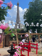 Hanami Paris : terrasse Trocadero