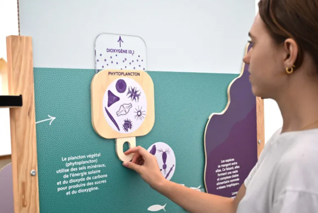 Expo Les Pop'up de l'Histoire naturelle : Interactivité