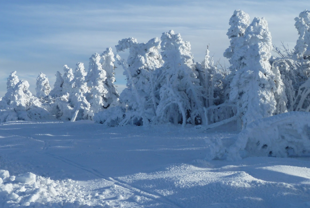 Sortie familiale au Mont Aigoual