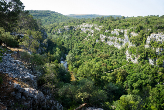 Parc Les Rives du Loup