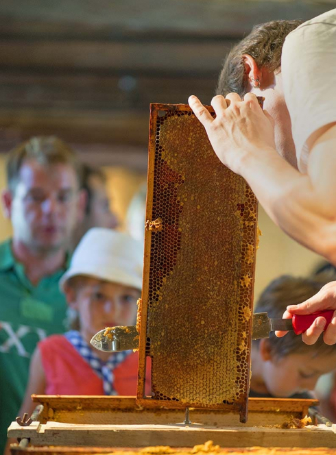 Écomusée de la Bintinais