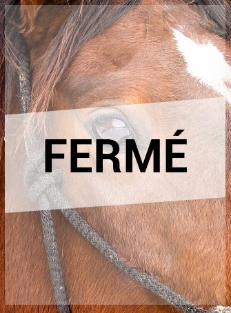 Paradise Ranch - Fermé