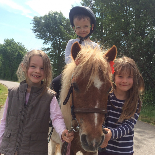 Stage équitation Alezane 2-6 ans