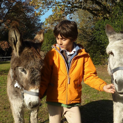 Chasse aux oeufs Pâques 2022 au Château de Bergues