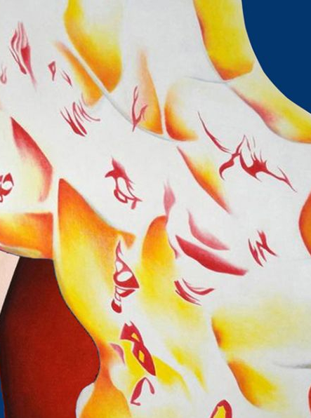 Bottazzi à La Ciotat