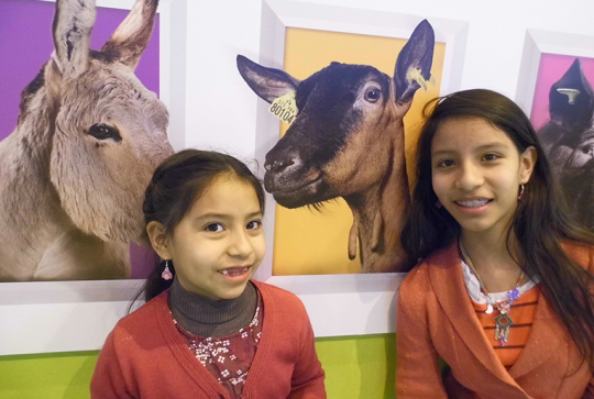 salon agriculture 2013