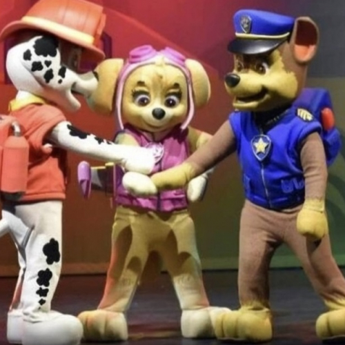 La Pat'Patrouille au cirque