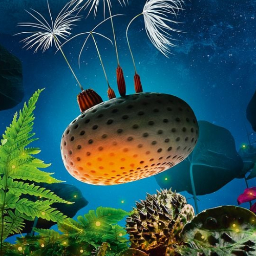 Planètes : affiche du film