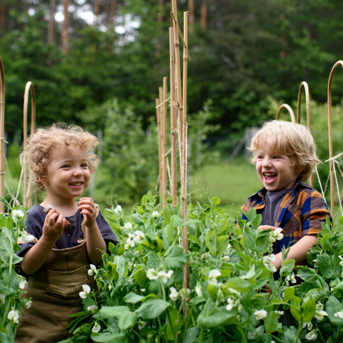 Rendez-vous aux jardins 2023 Rennes