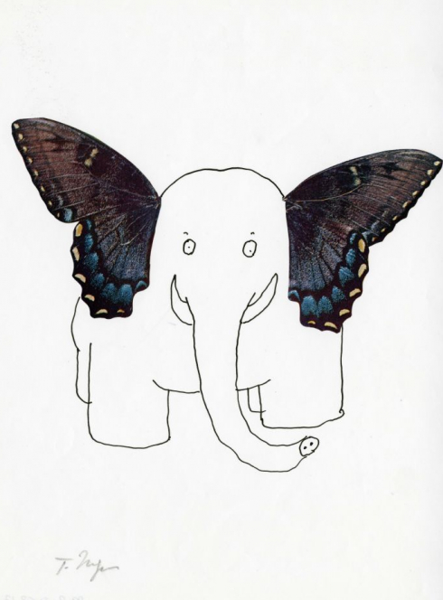 Ateliers enfants musée Tomi Ungerer