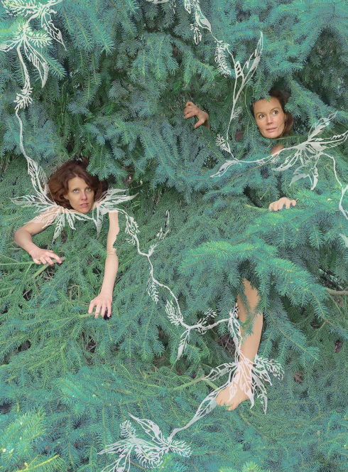 Le langage des oiseaux