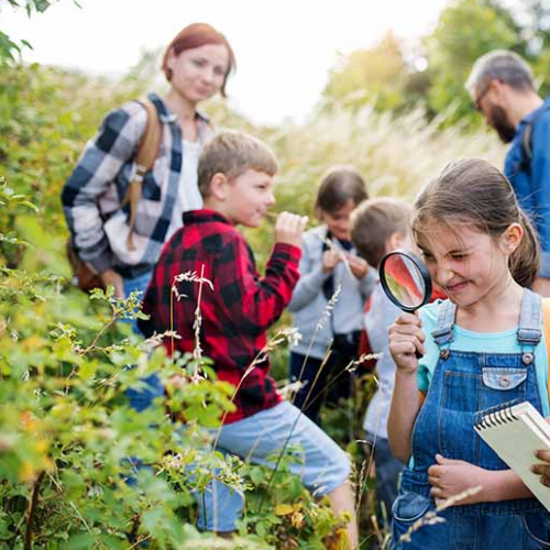 Expériences scientifiques autour de la nature