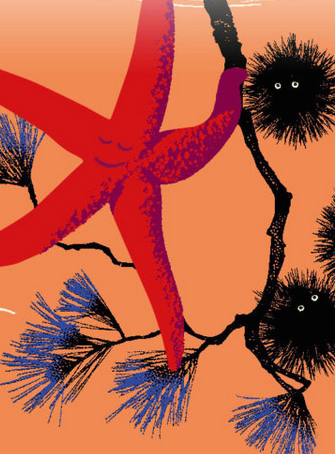 L'Automne des Calanques