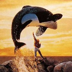 Sauvez Willy