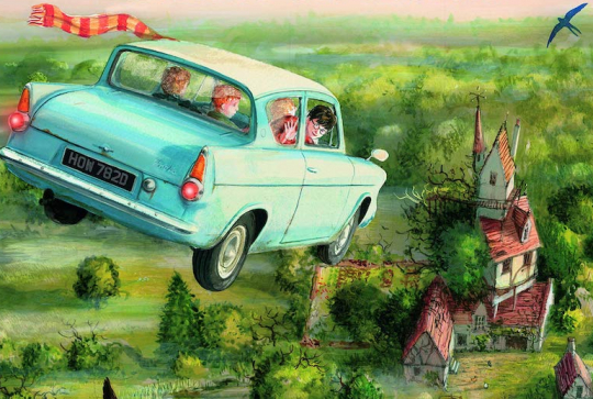 Harry Potter et la chambre des secrets : livre illustré par Jim Kay