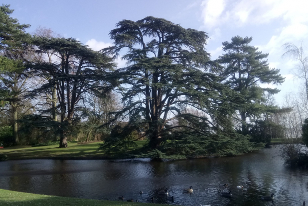 Domaine national de Saint-Cloud - Parc