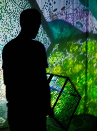Minimus – Cie Le Bruit des Ombres