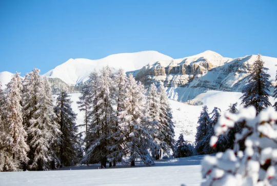 Ski de fond et des raquettes près de Nice : 5 stations à découvrir : Valberg
