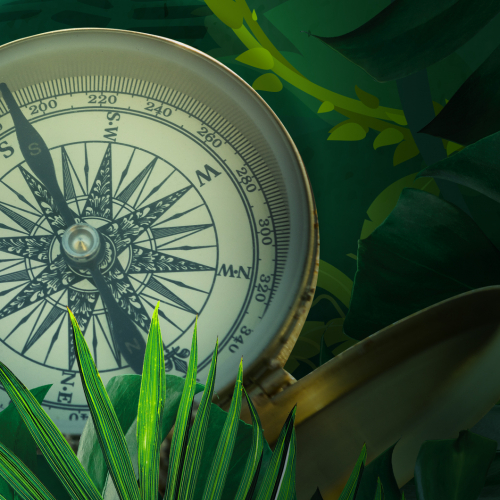 Born to be wild - Escape game