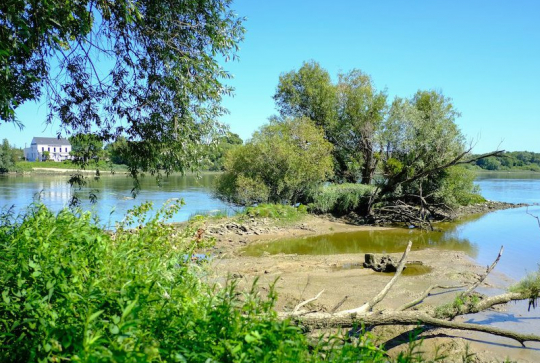 Parc du CRAPA : nature