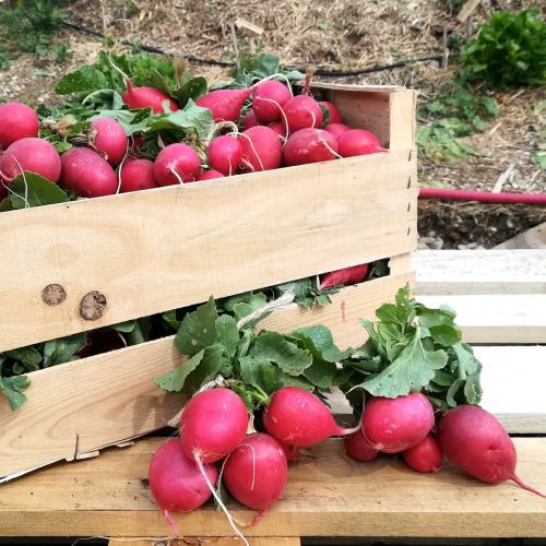 De la fourche à la fourchette