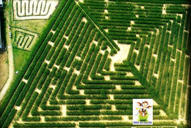 Ferme des Glaciers - Labyrinthe géant de Saint-Martin-du-Tertre