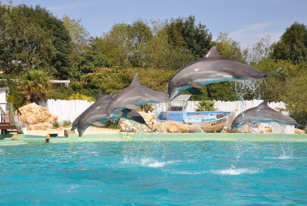 Planète Sauvage : Cité Marine