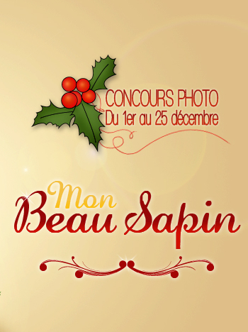 mon beau sapin