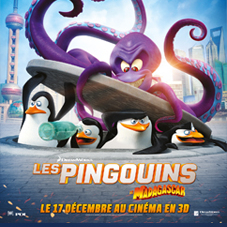 Concours Les Pingouins de Madagascar