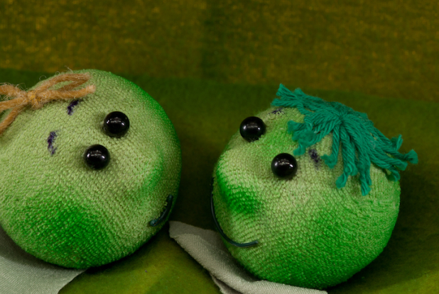 Petit pois : tête-à-tête