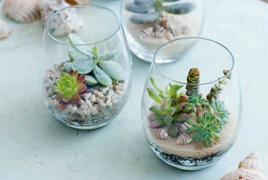 Terrarium