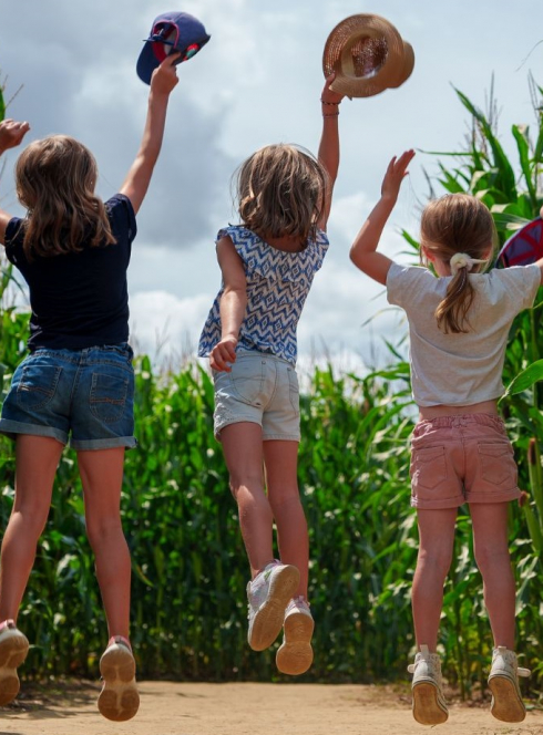 Pop Corn Labyrinthe : enfants sautent au milieu d'un champ de maïs